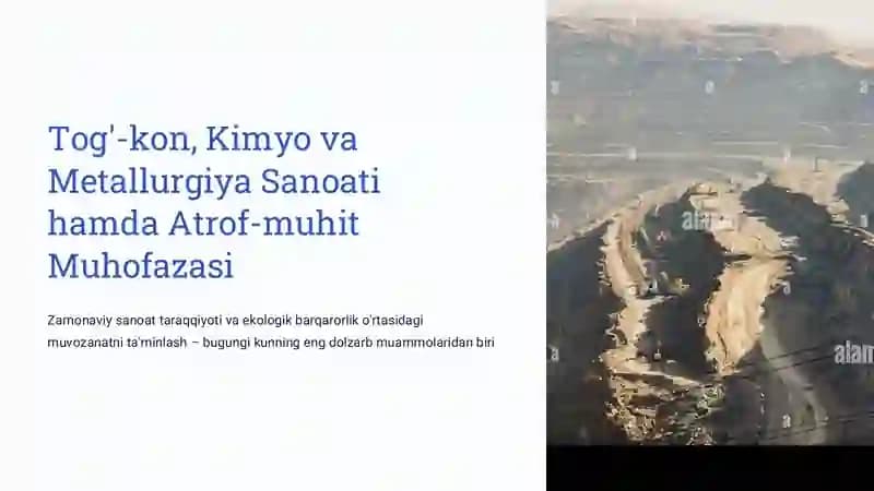 Tog'-kon, Kimyo va  Metallurgiya Sanoati  hamda Atrof-muhit  Muhofazasi