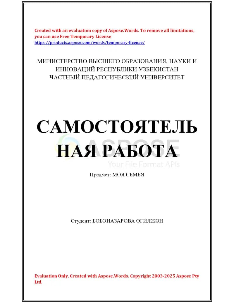 Самостоятельная работа «Моя семья»