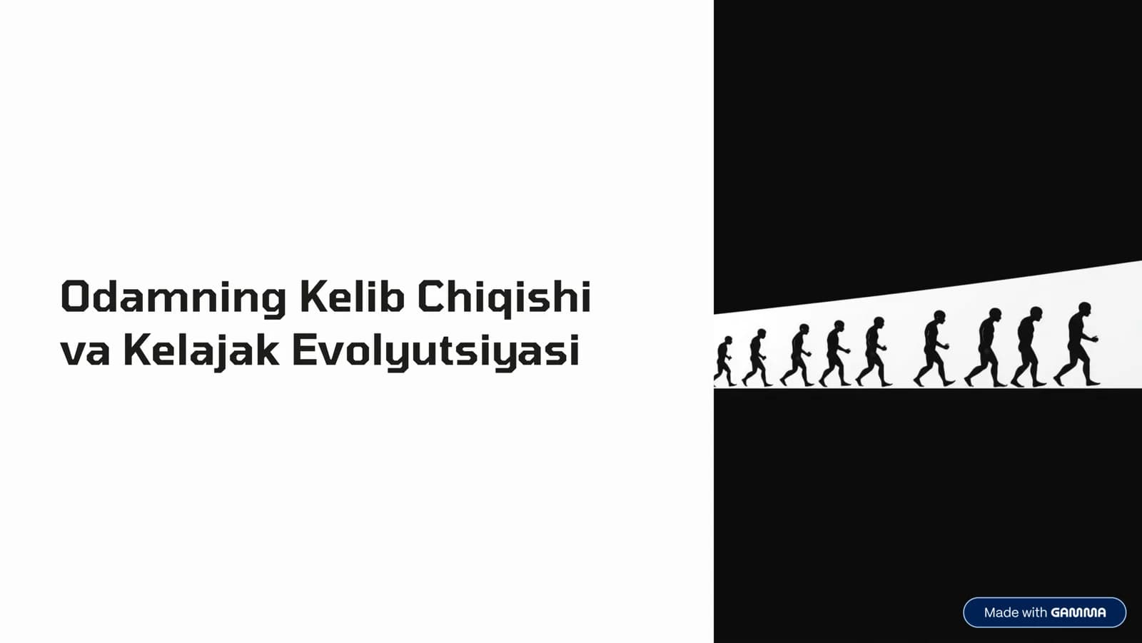Odamning kelib chiqishi, Odam evolyutsiyasi