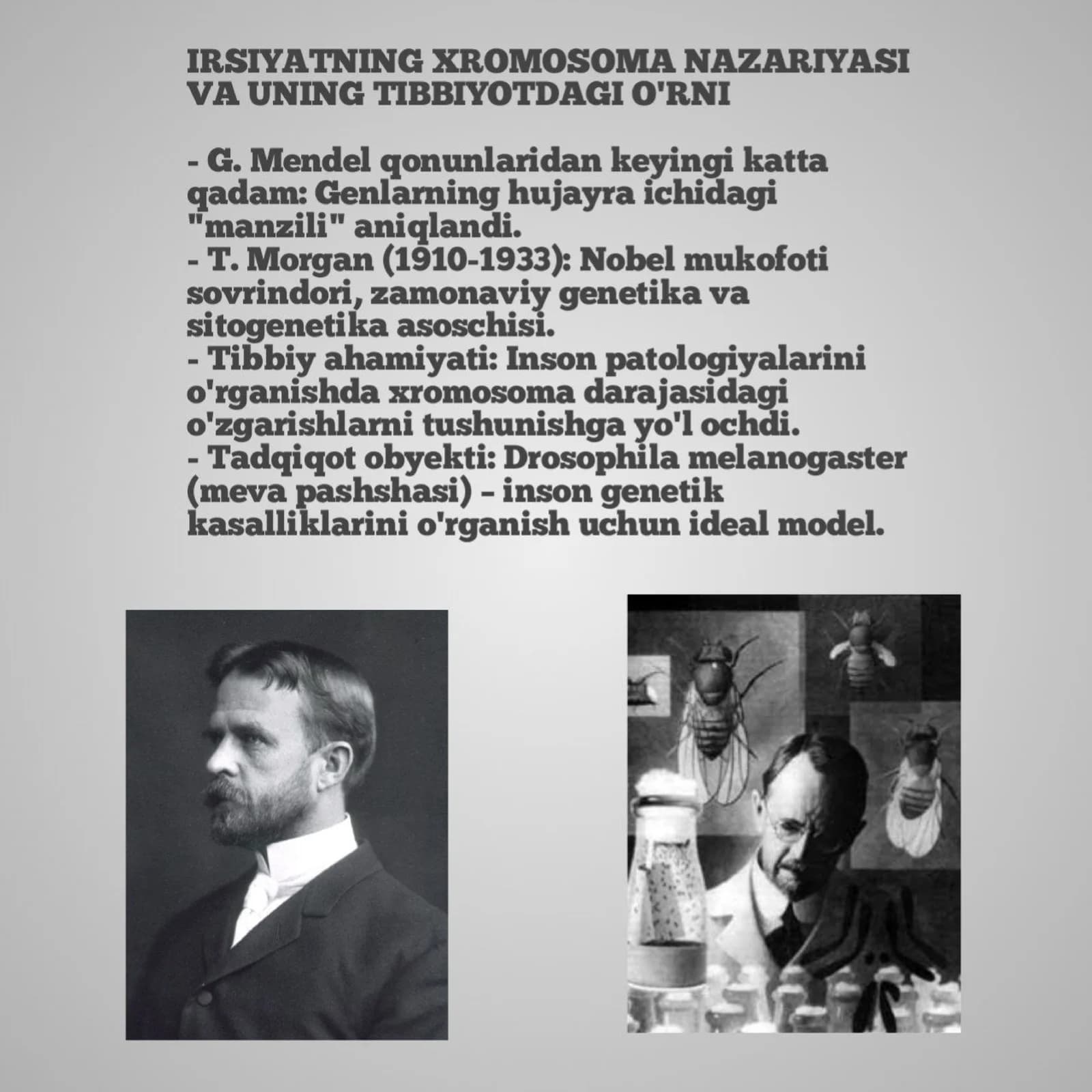Morganning xromosoma nazariyasi va uning tibbiyotdagi o'rni