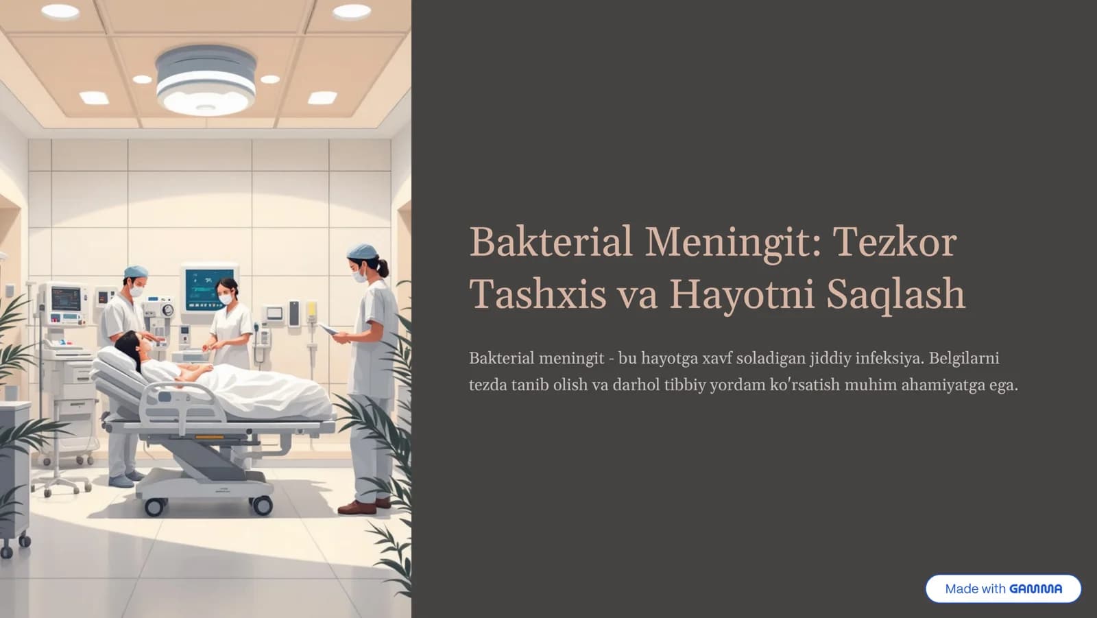 bakterial meningit
