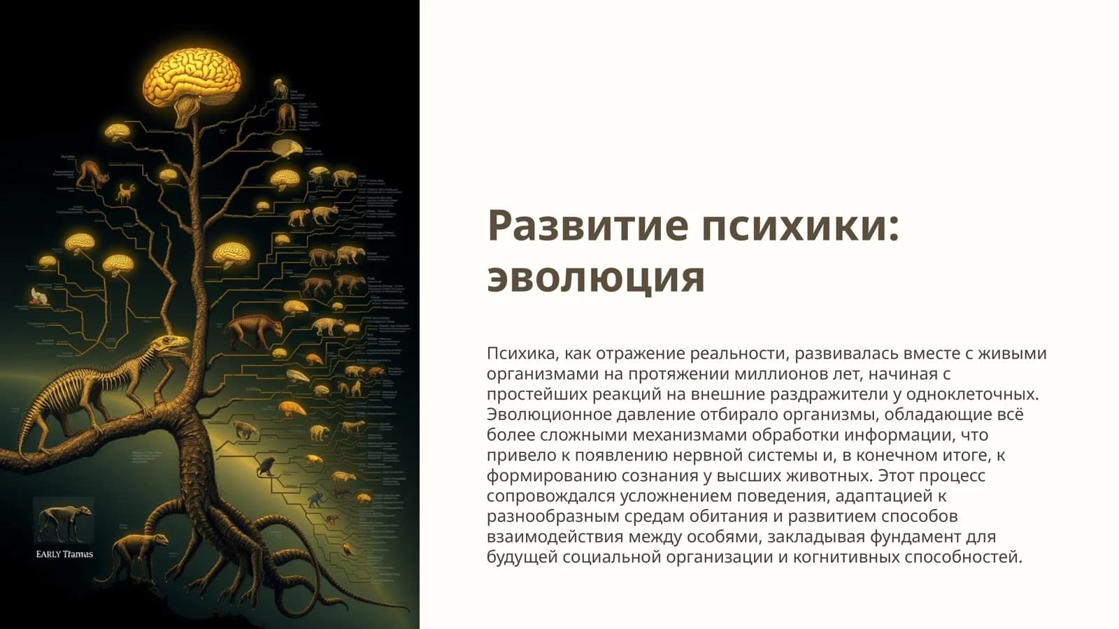 Развитие психики
