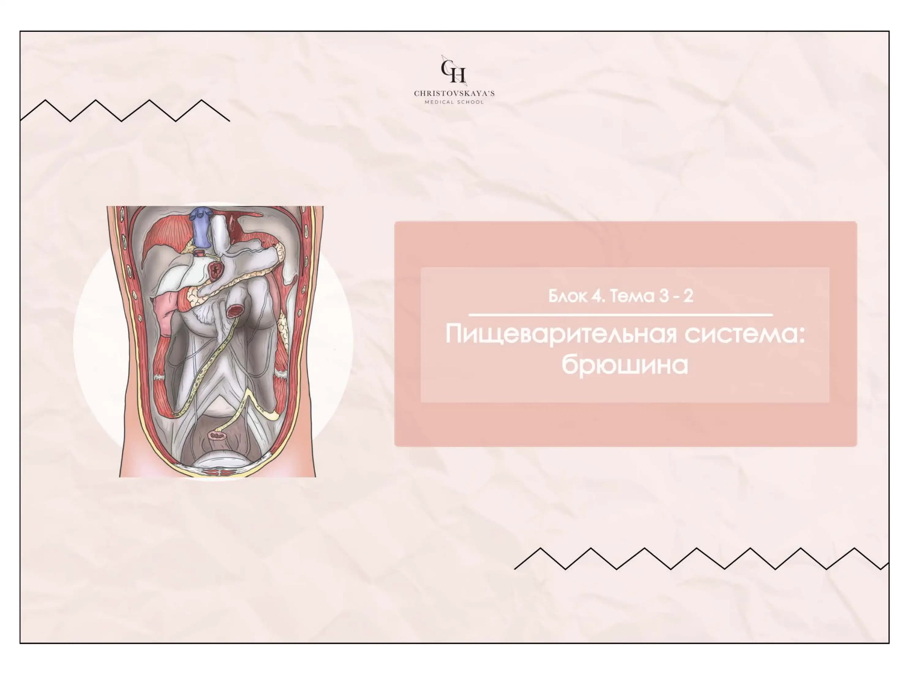 Cavitas abdominalis et peritoneum
