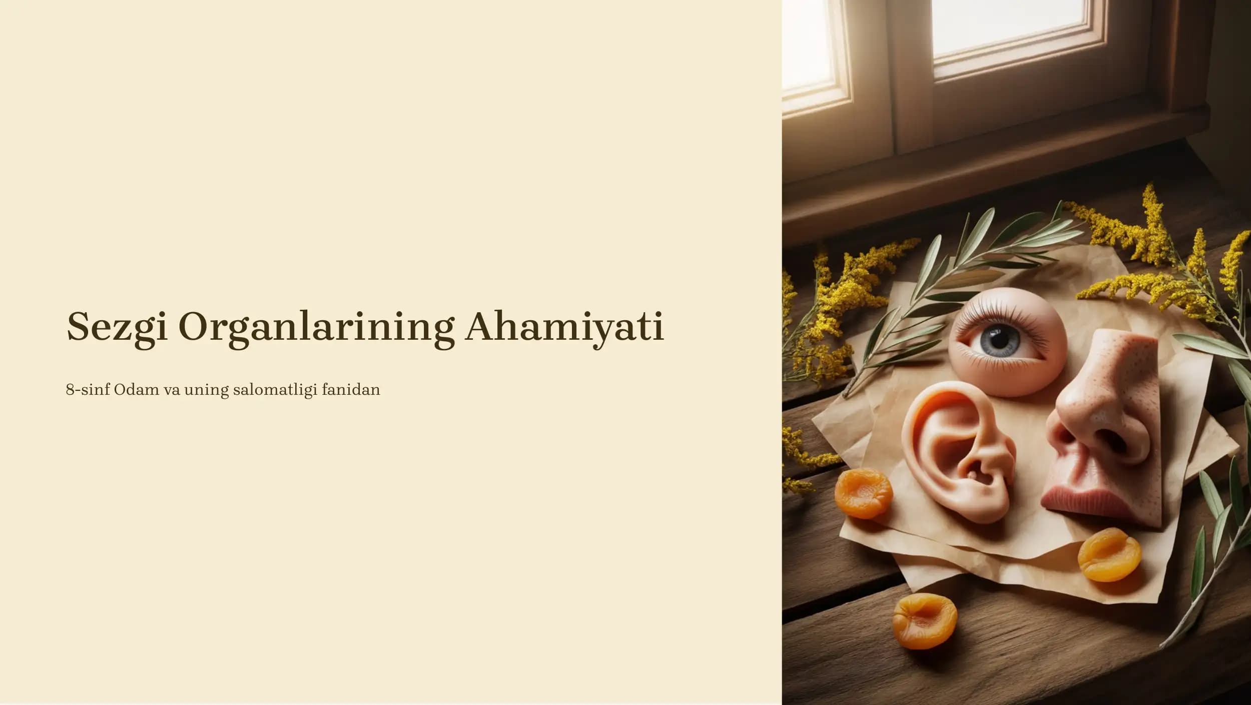 Sezgi Organlarining Ahamiyati