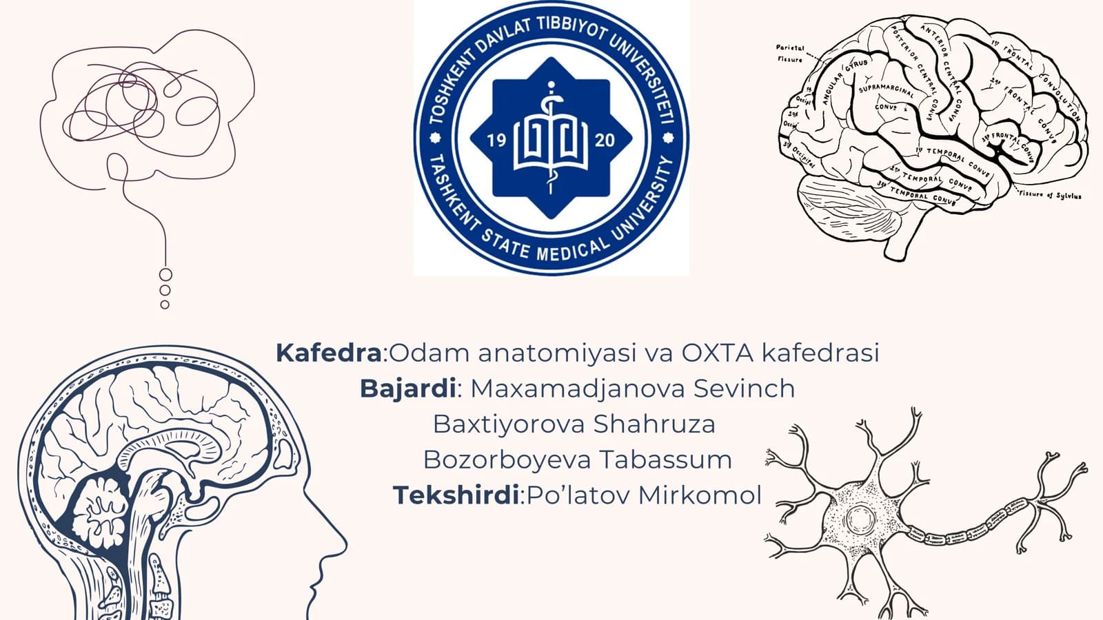 Elka chigalining hosil bo‘lishi va uning qisqa shoxlari. Elkachigalining uzun shoxlari. Qo‘l terisining innervatsiyasi
