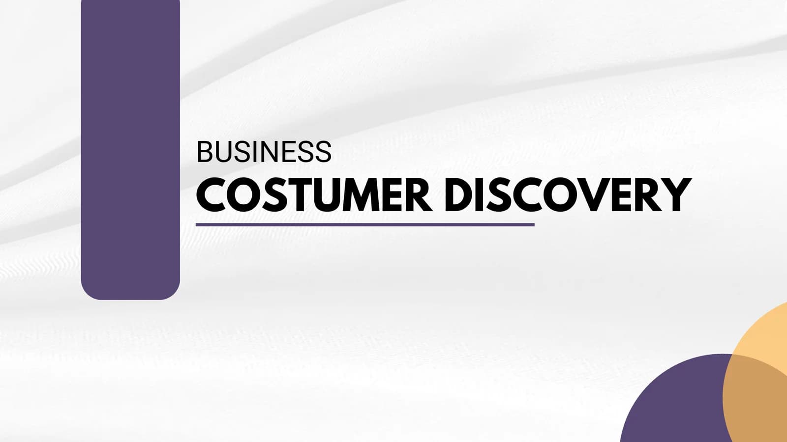 COSTUMER DISCOVERY BUSINESS PLAN