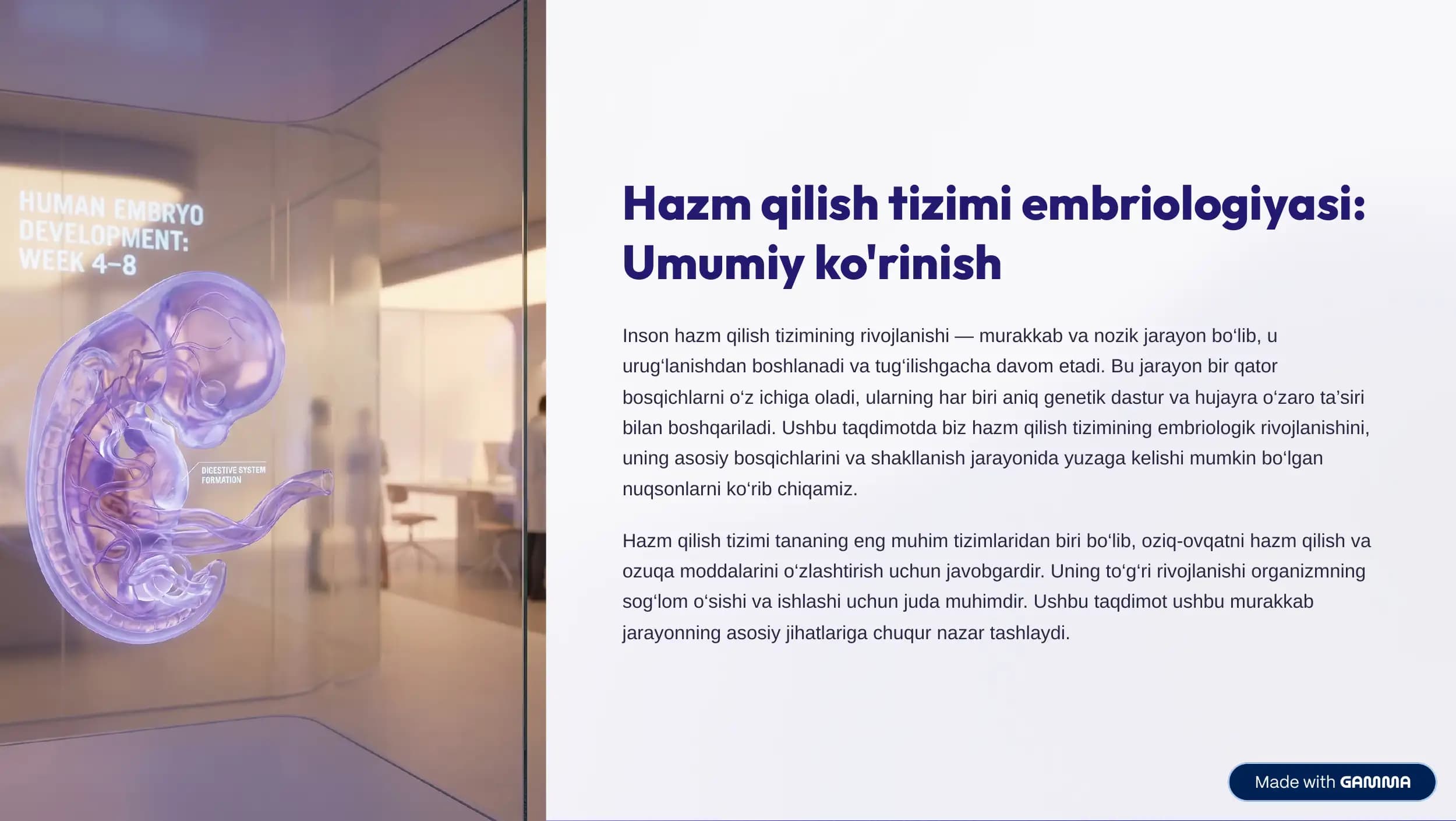 Hazm qilish tizimi embriologiyasi