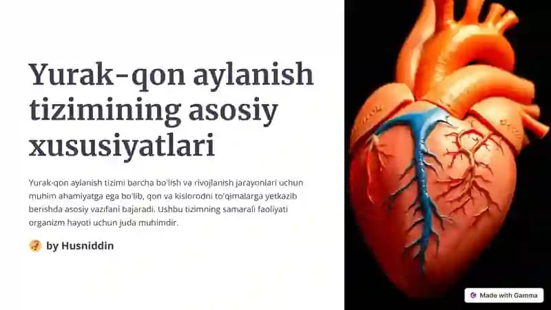 Yurak-qon aylanish tizimi