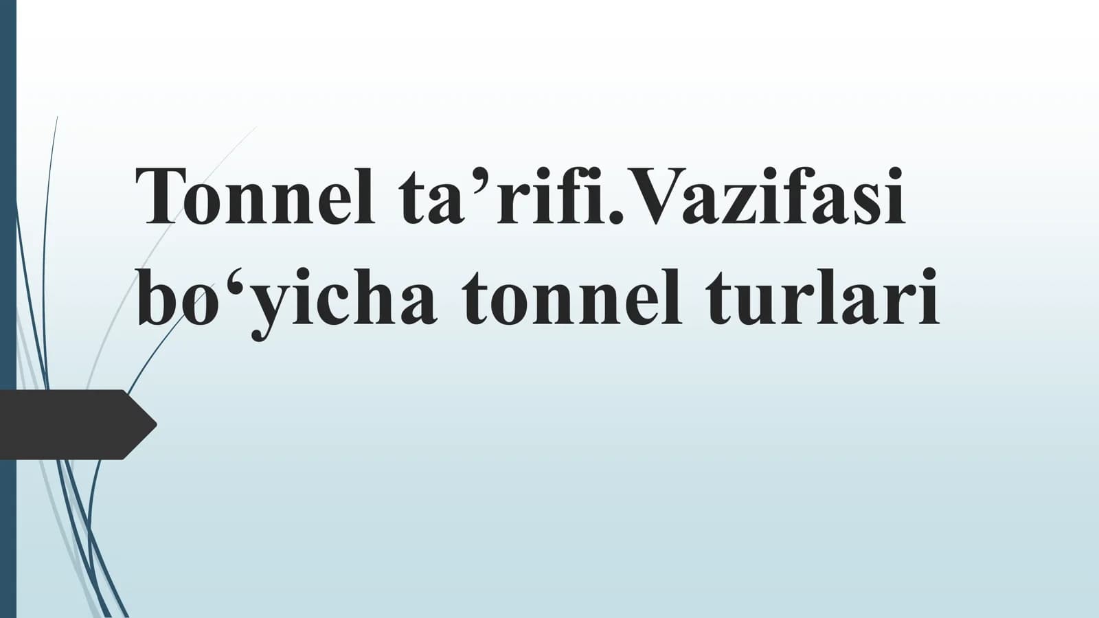 Tonnel ta’rifi.Vazifasi bo‘yicha tonnel turlari