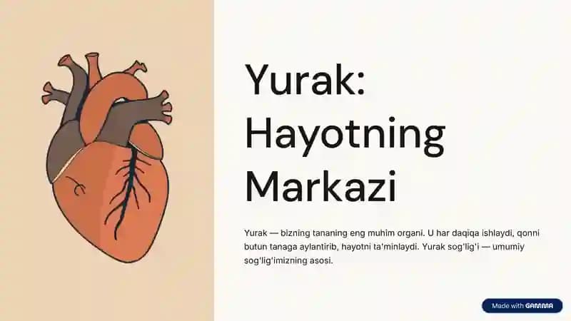 Yurak hayotning markazi