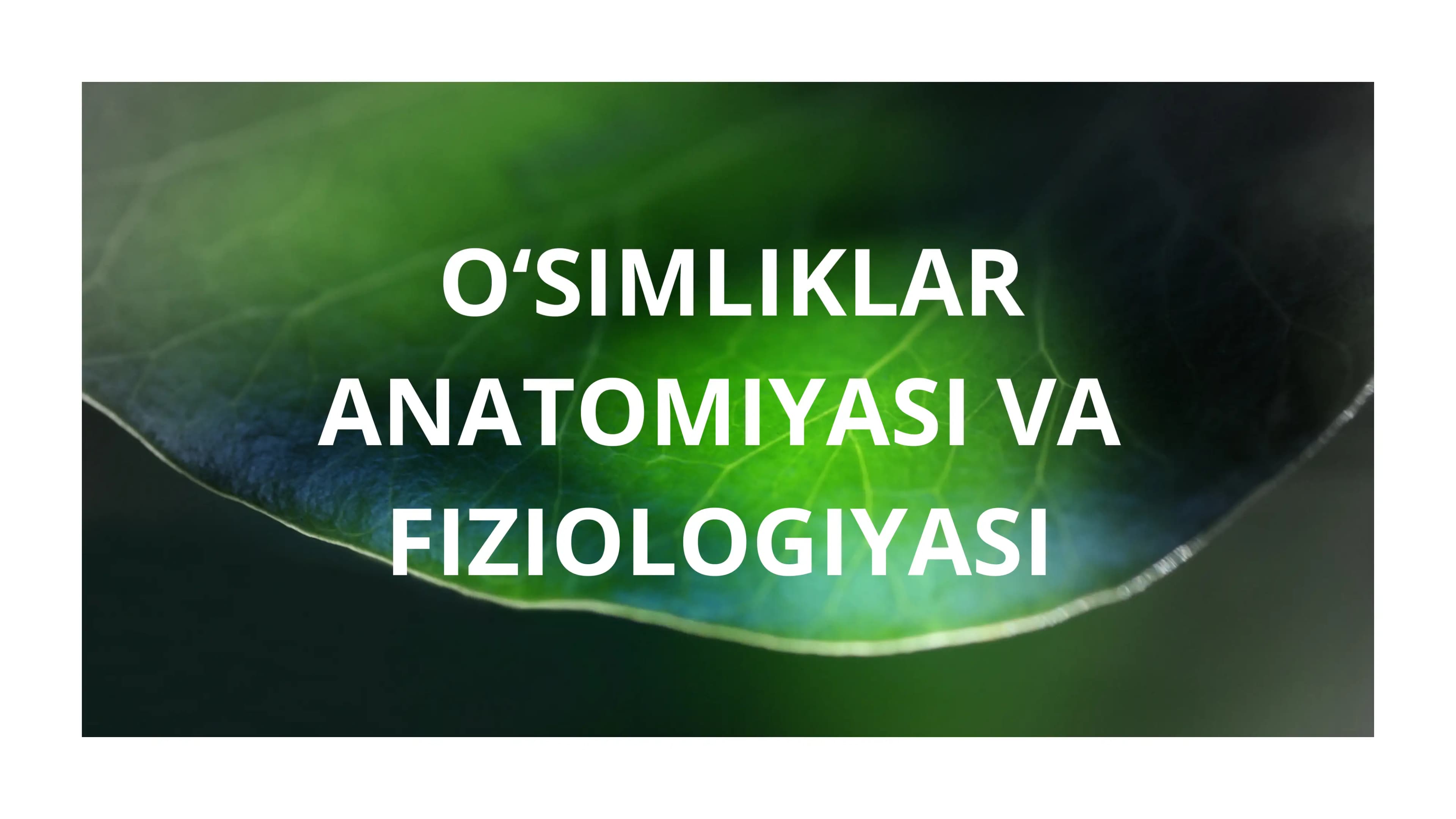 O'simliklar ANATOMIYASI VA FIZIOLOGIYASI