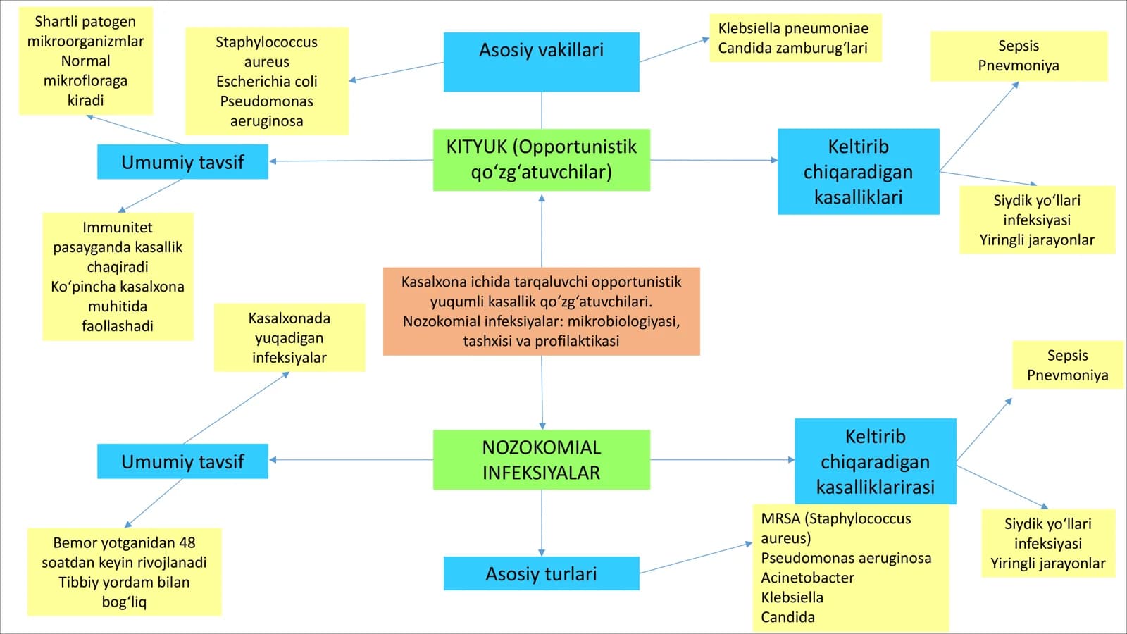 Nozokomial infeksiyalar: mikrobiologiyasi, tashxisi va profilaktikasi