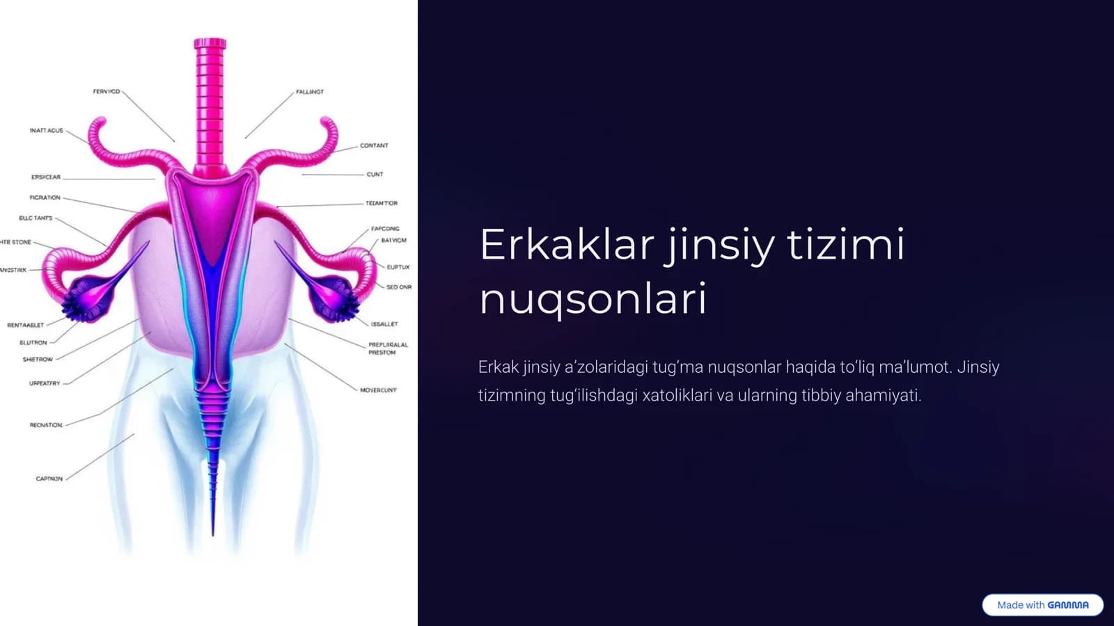 Erkaklar jinsiy tizimi nuqsonlari