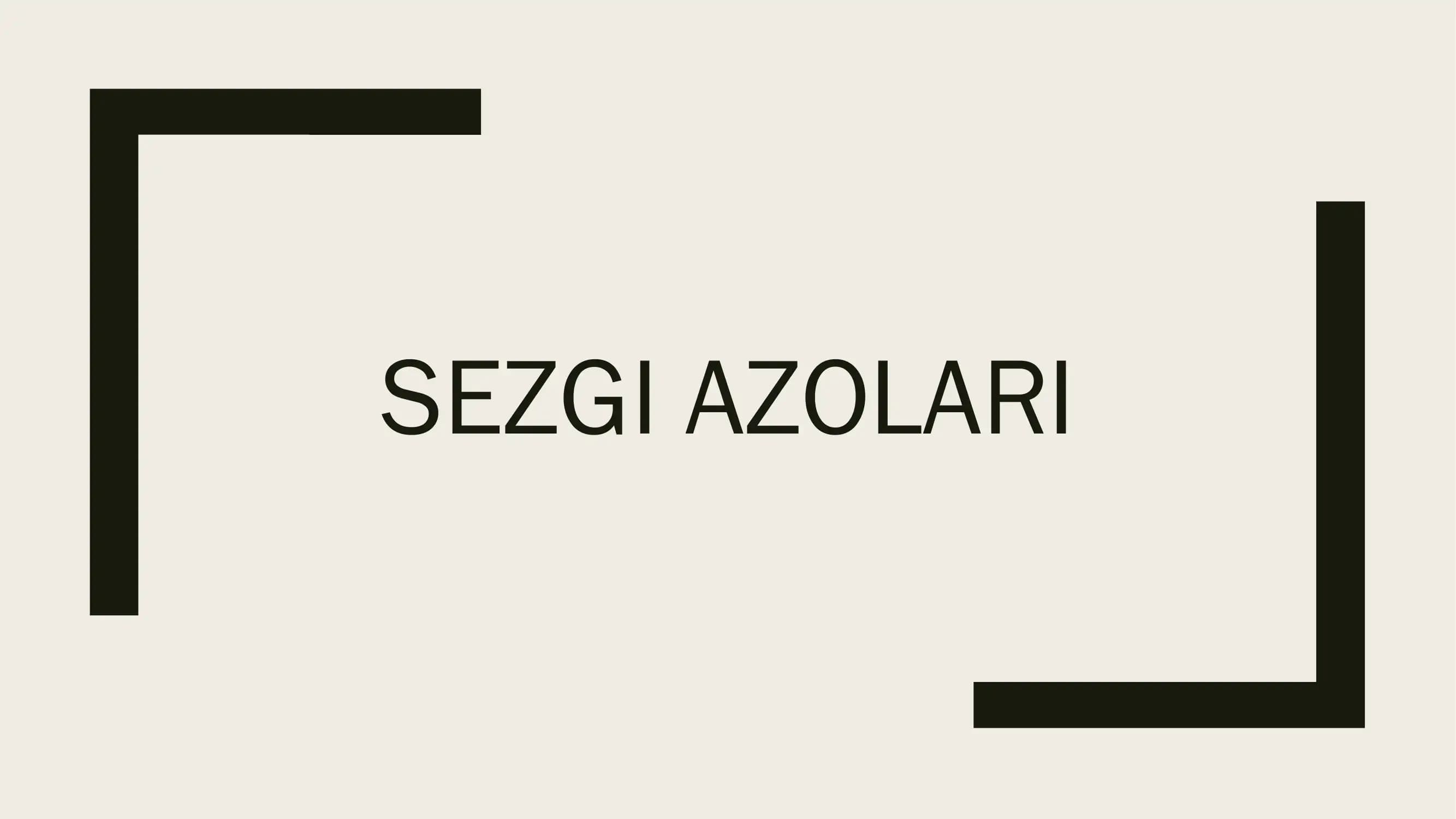 Sezgi organlari