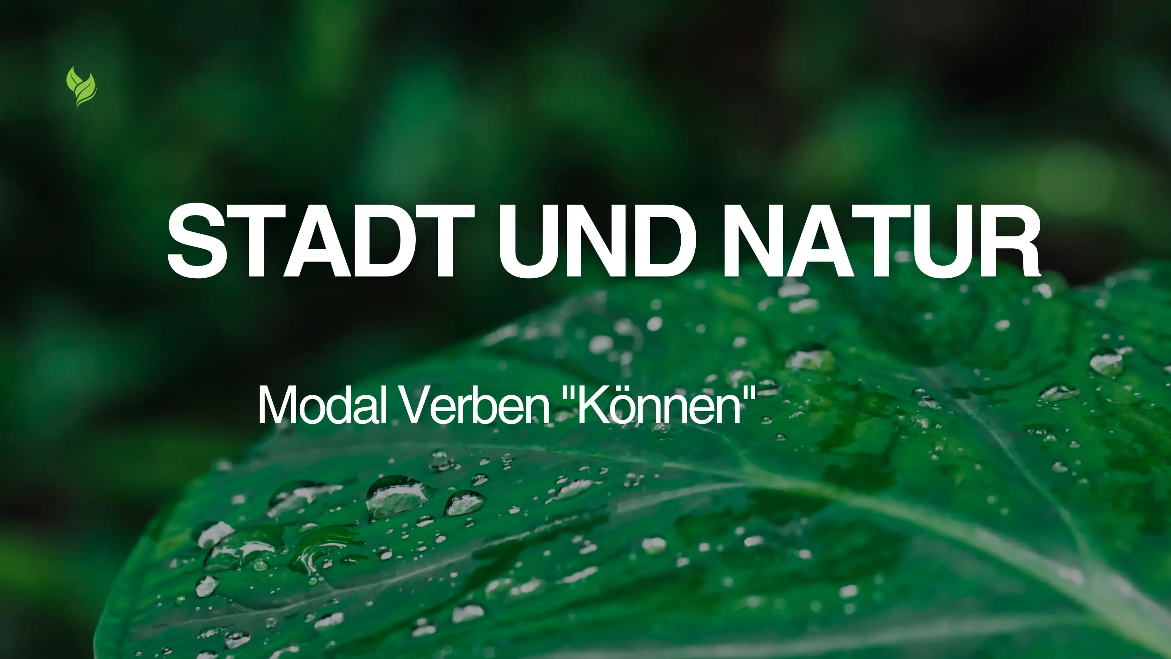 Modal Verben "Können"