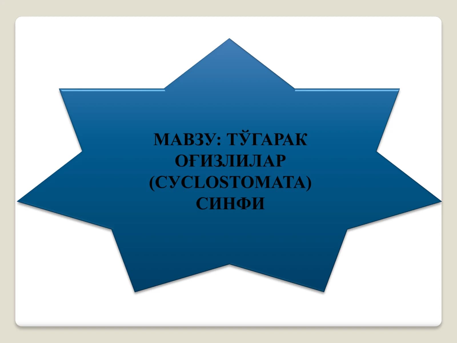 Умуртқалилар кенжа типи