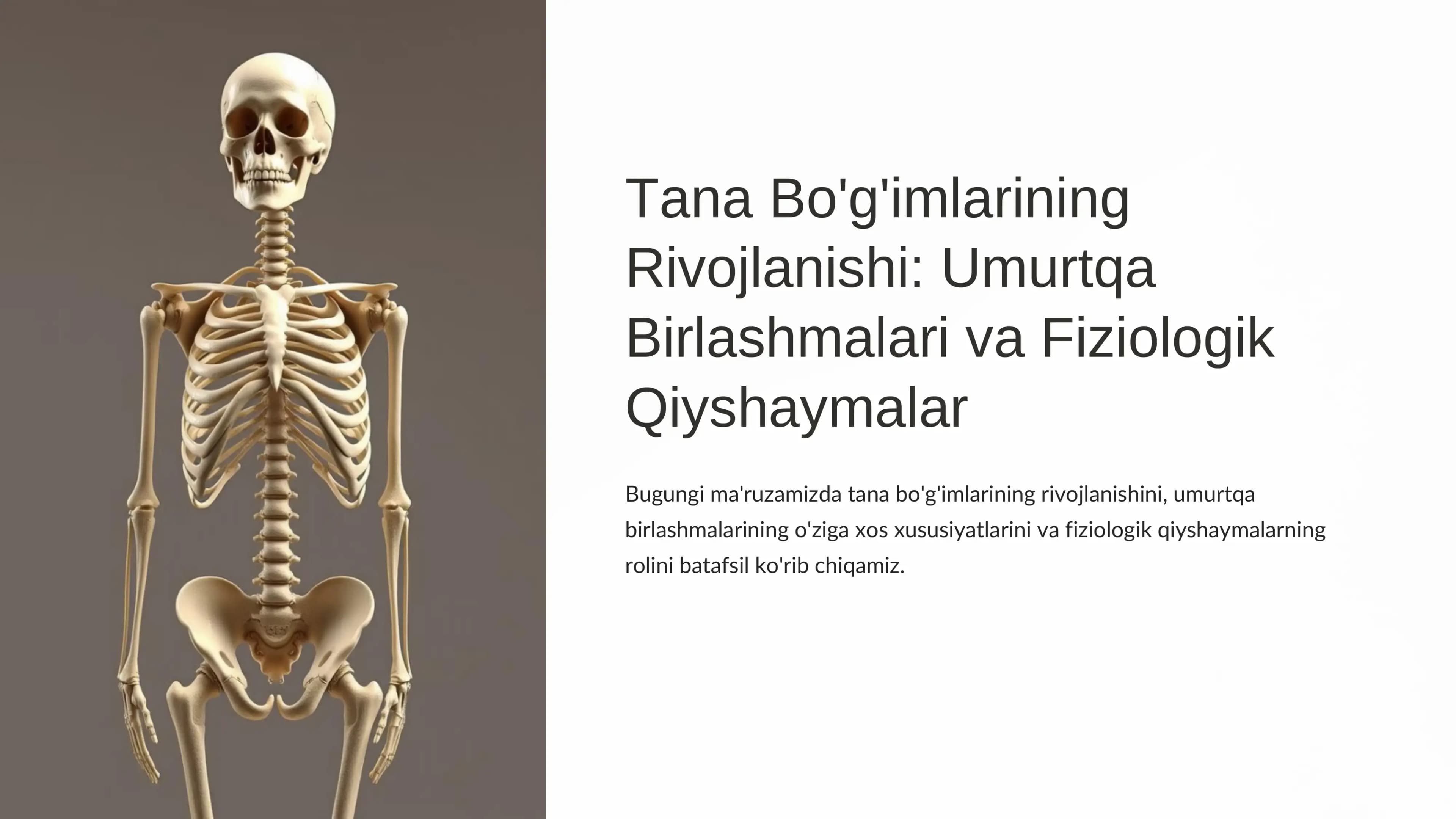 Tana Bo'g'imlarining Rivojlanishi