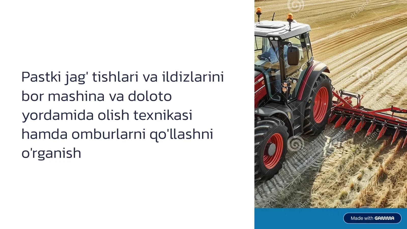 Pаstki jаg’ tishlаri vа ildizlаrini bоr mаshinа vа dоlоtо yordаmidа оlish texnikаsi. Omburlarni qo’llashni o’rganish.