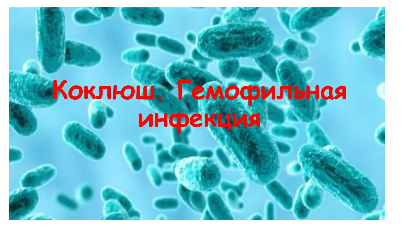 Коклюш. Гемофильная инфекция