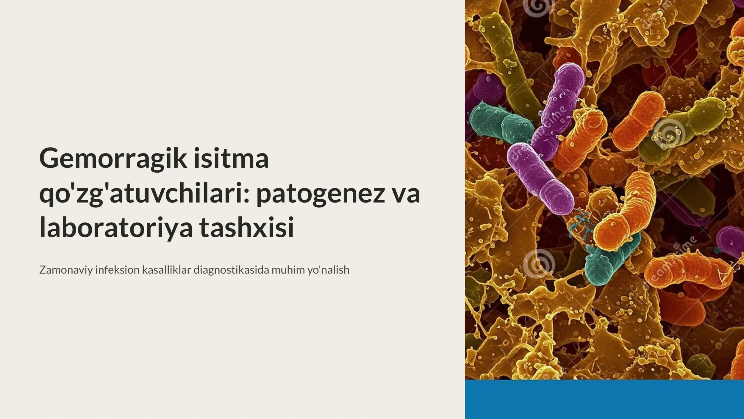 Gemorragik isitma qo'zg'atuvchilari, patogenezi,  laboratoriya tashxisi.