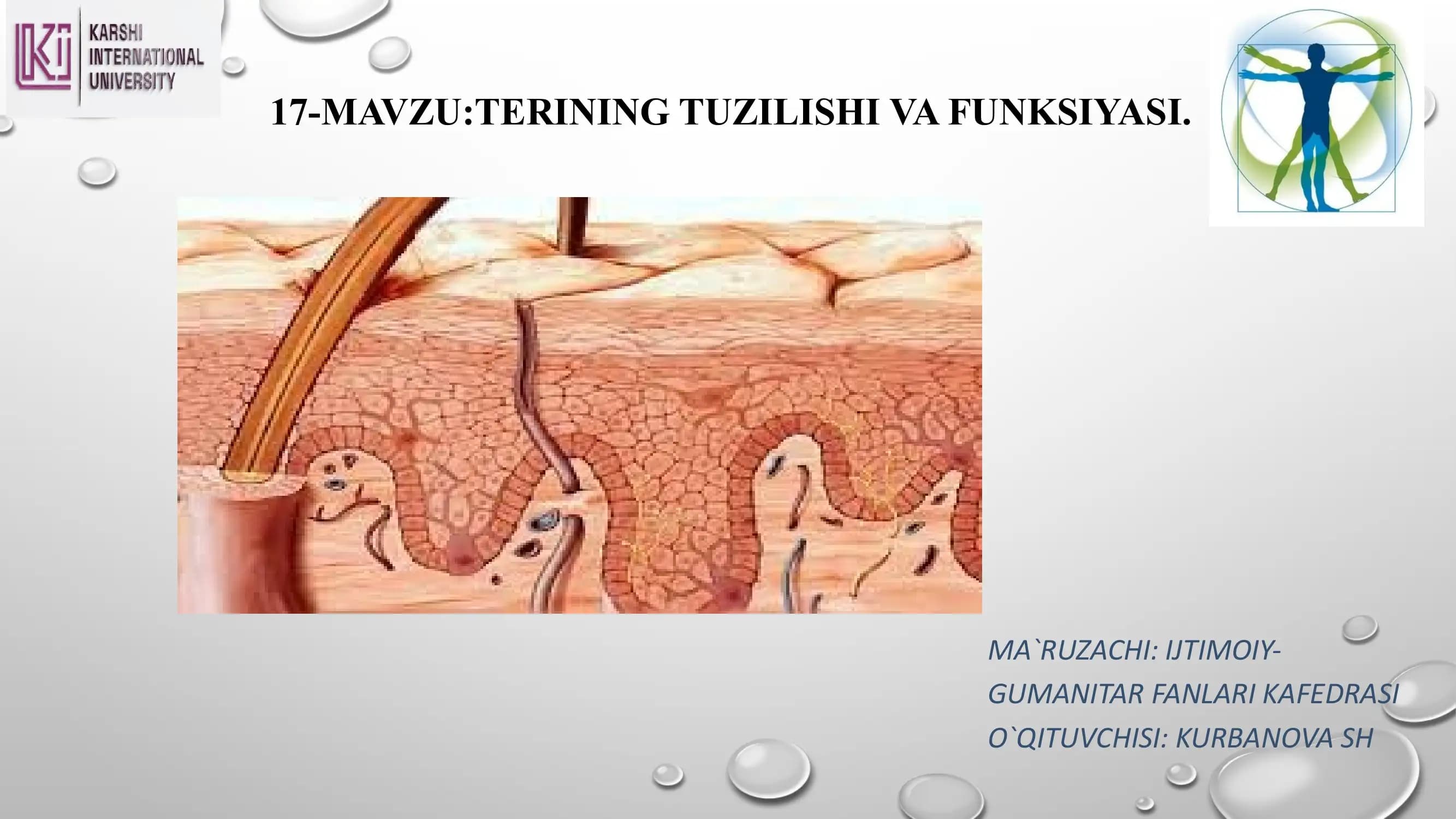 TERINING TUZILISHI VA FUNKSIYASI
