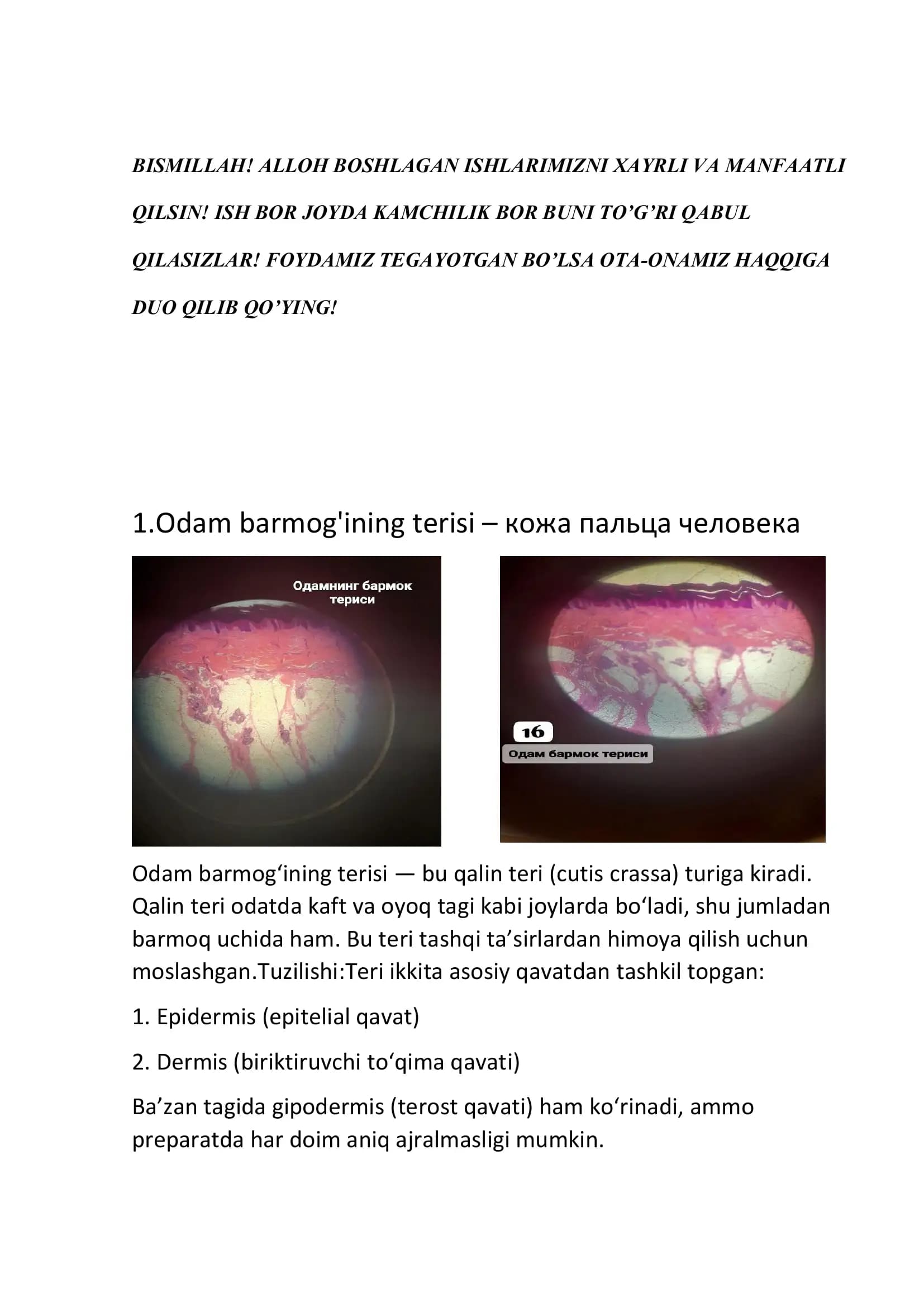 Odam barmog'ining terisi