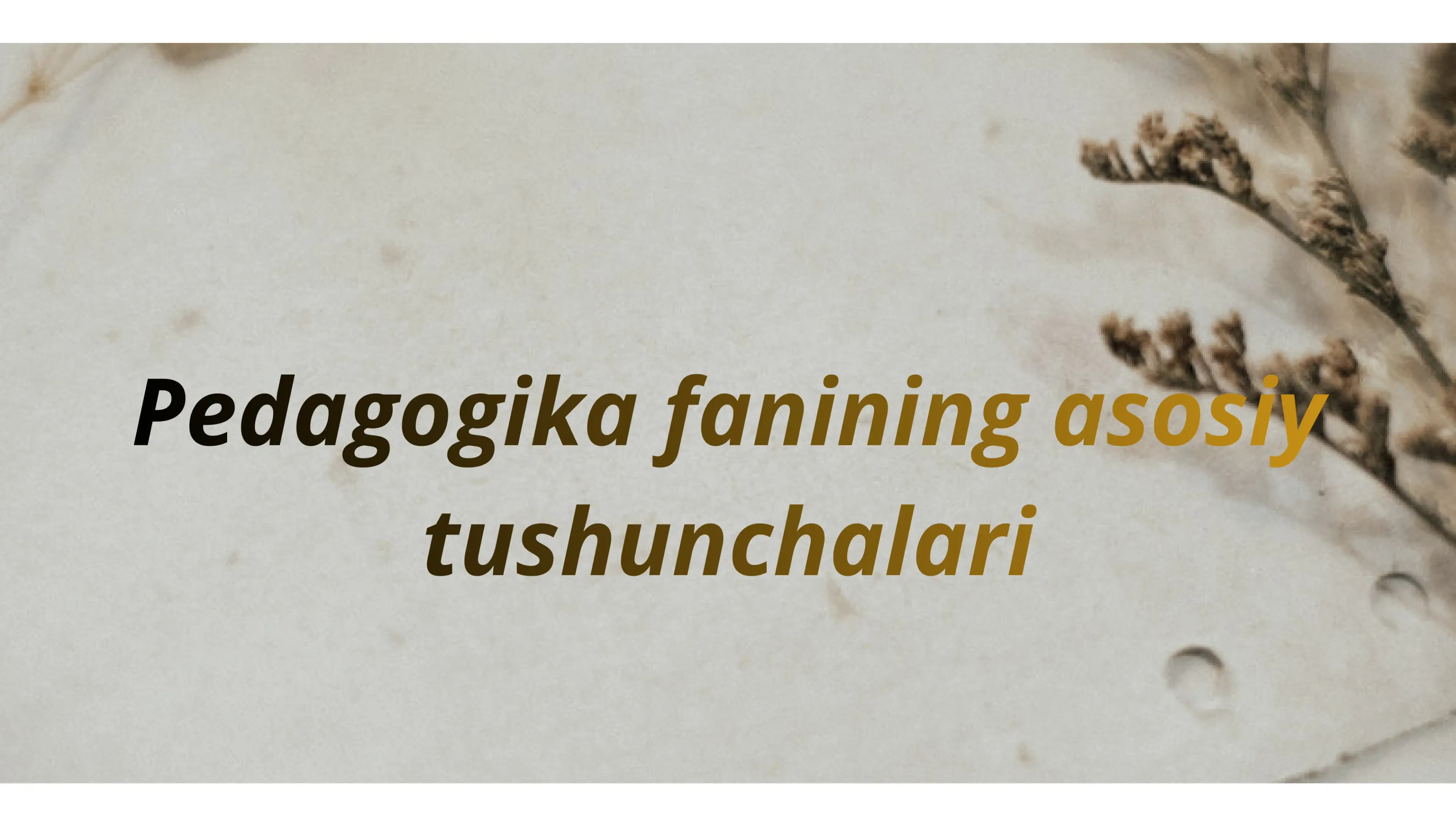 Pedagogika fanining asosiy tushunchalari