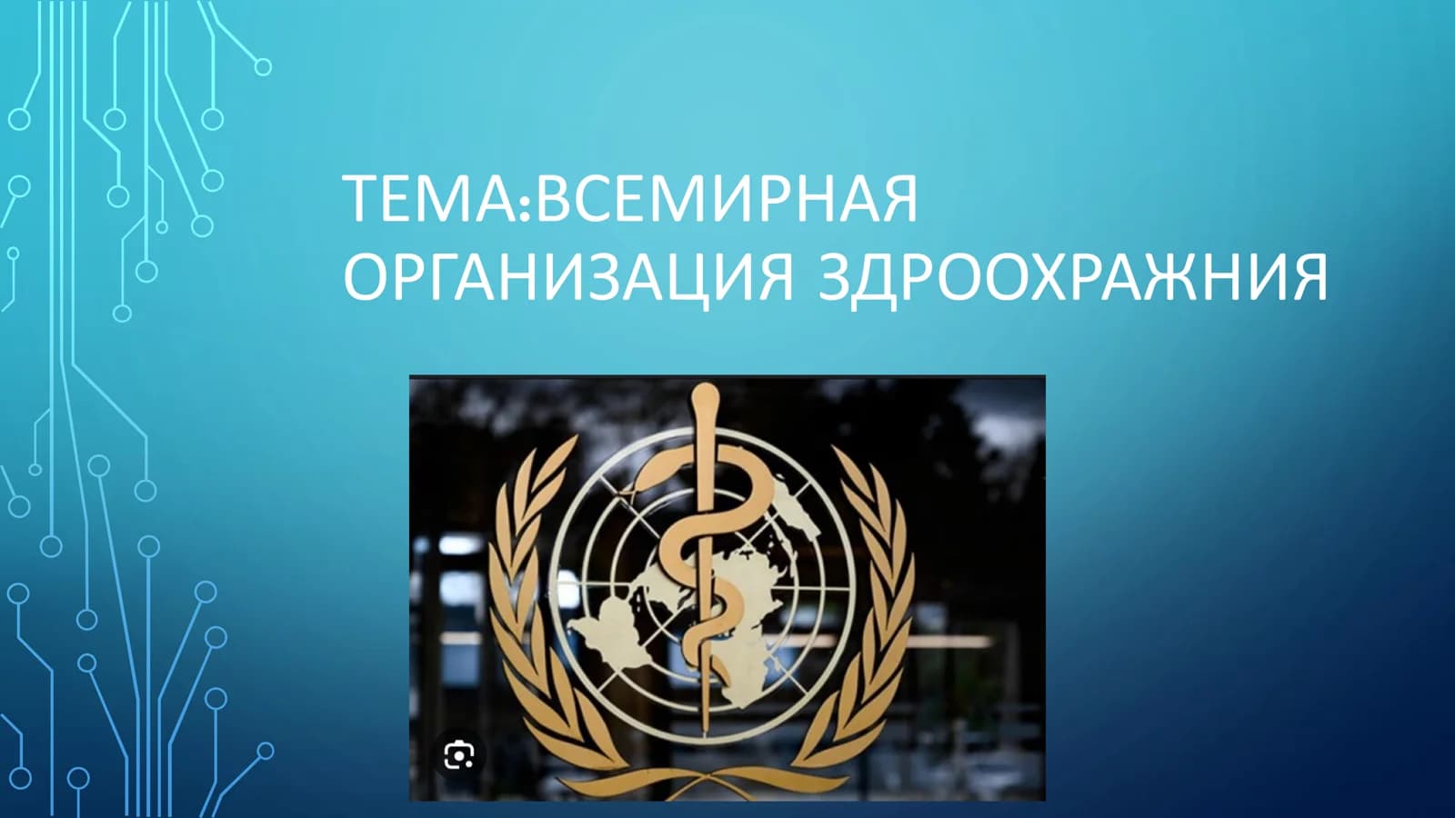 ВСЕМИРНАЯ ОРГАНИЗАЦИЯ ЗДРАВООХРАНЕНИЯ (ВОЗ)