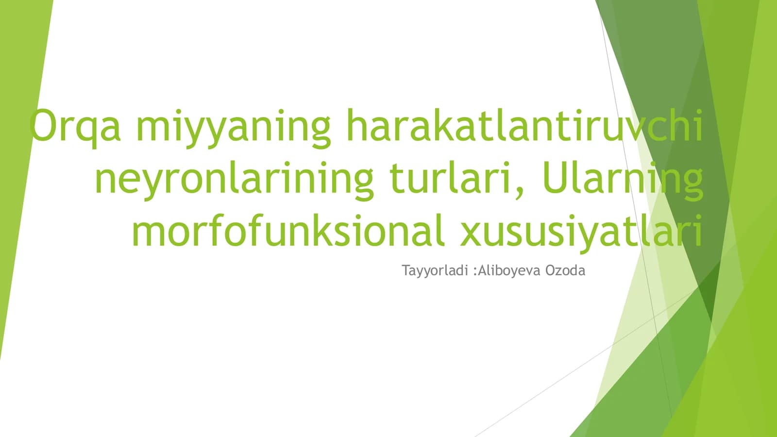 Orqa miyyaning harakatlantiruvchi neyronlarining turlari, Ularning morfofunksional xususiyatlari