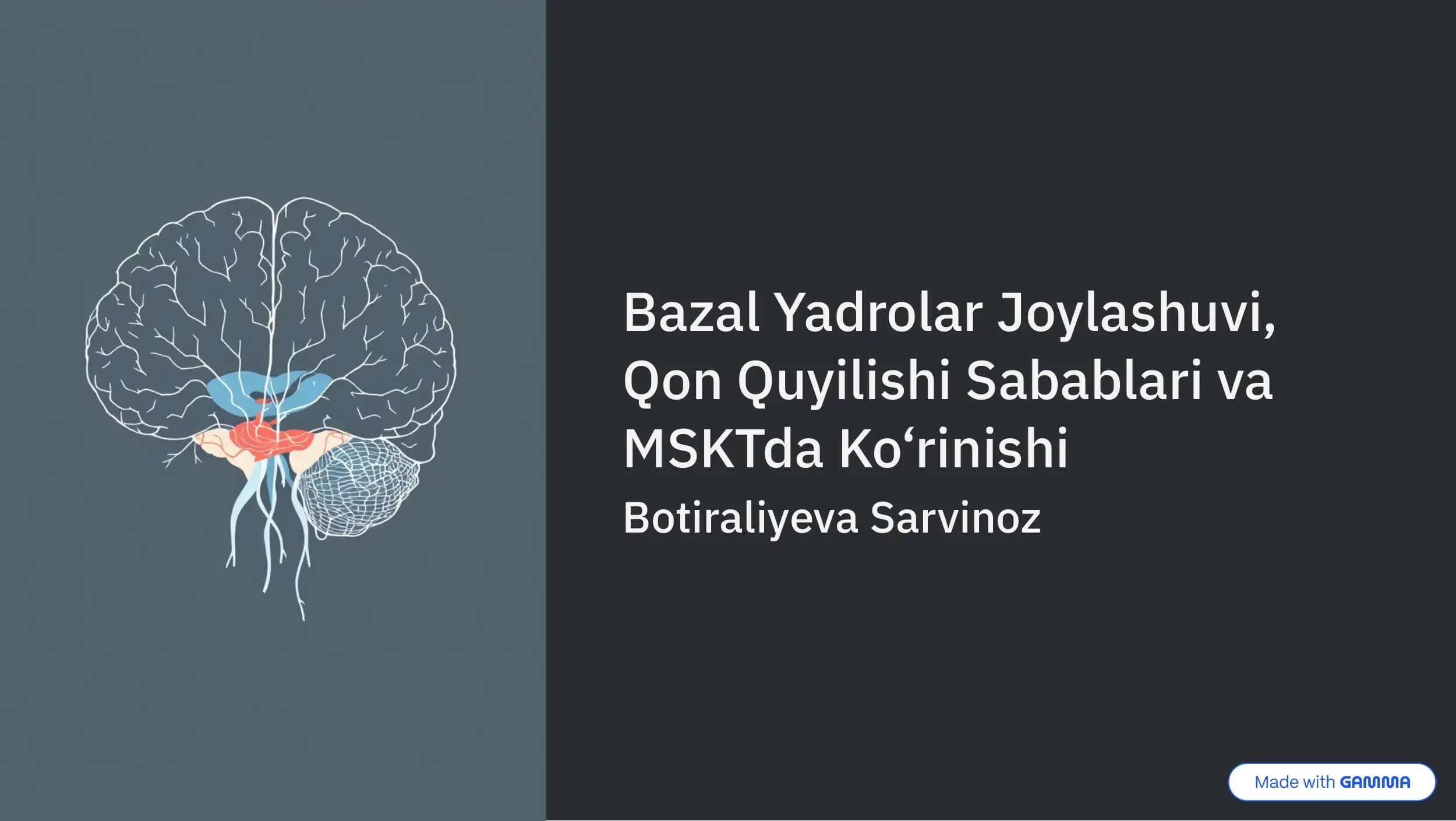 Bazal Yadrolar Joylashuvi