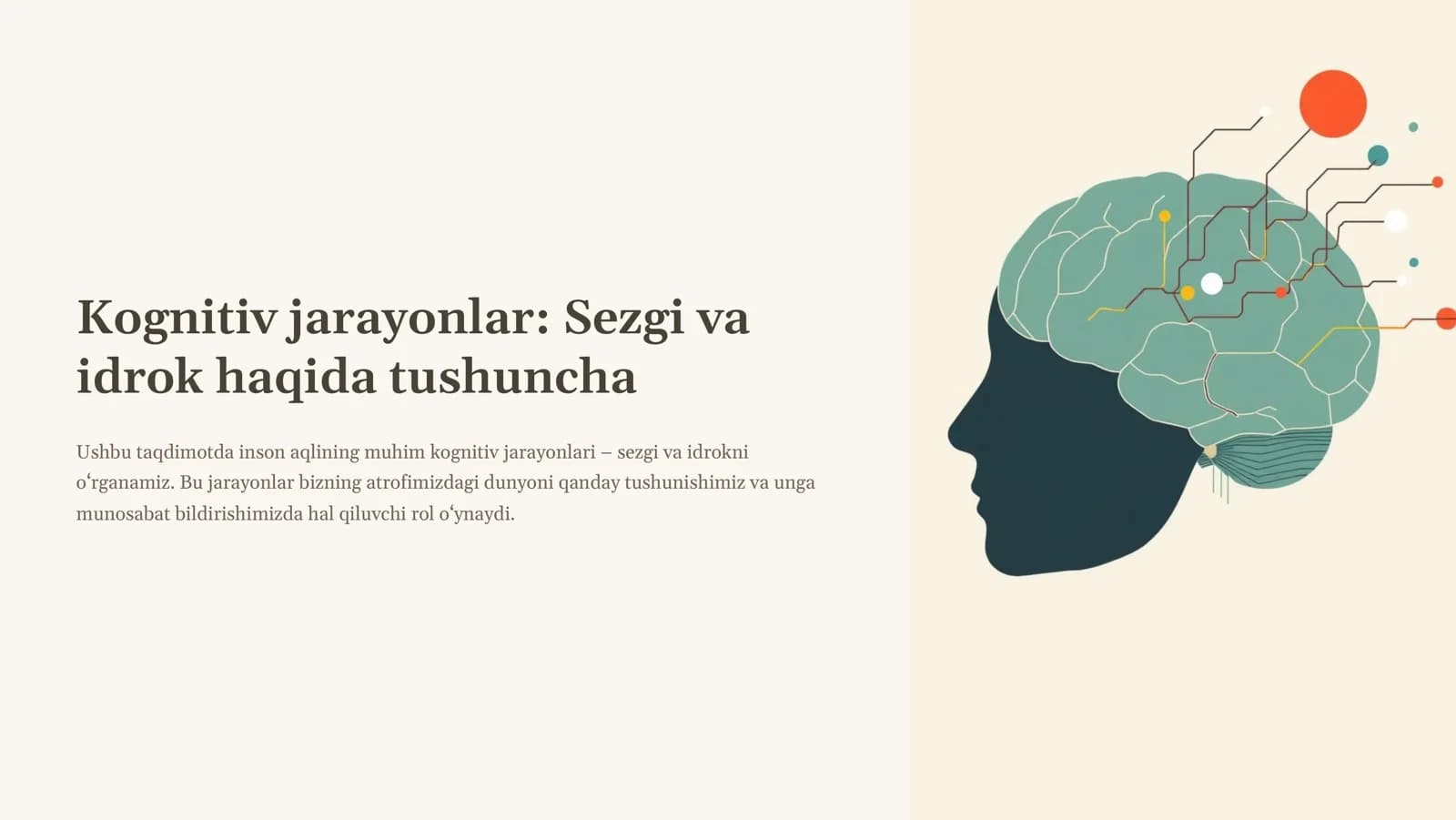 Kognitiv jarayonlar Sezgi va idrok haqida tushuncha