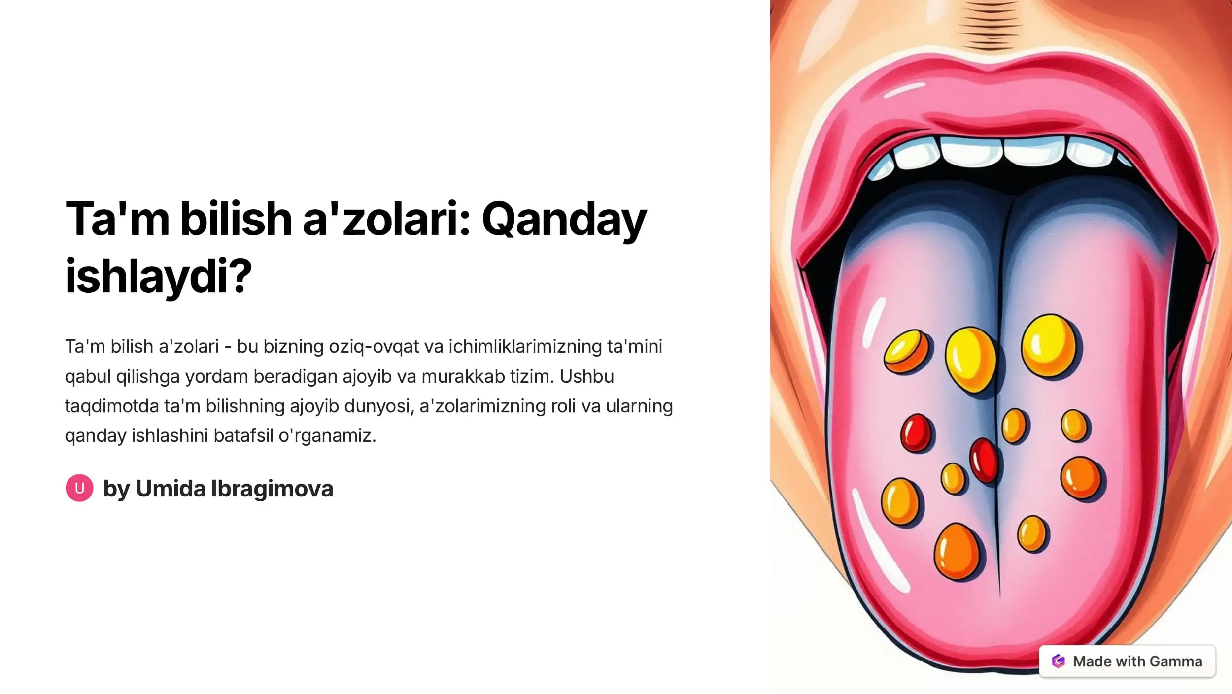 Ta'm bilish a'zolari: Qanday ishlaydi?