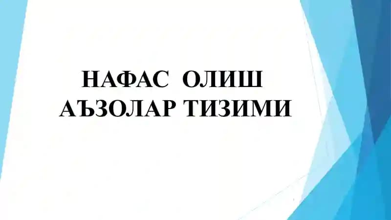 НАФАС ОЛИШ / nafas olish