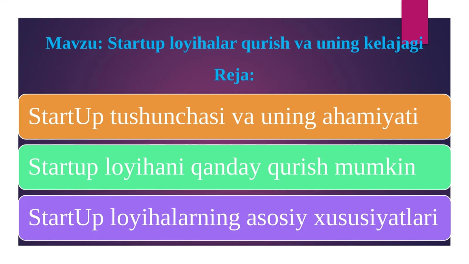 Startup loyihalar qurish va uning kelajagi