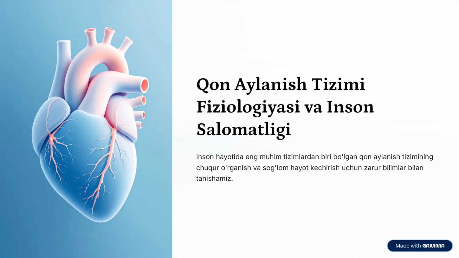 Qon Aylanish Tizimi