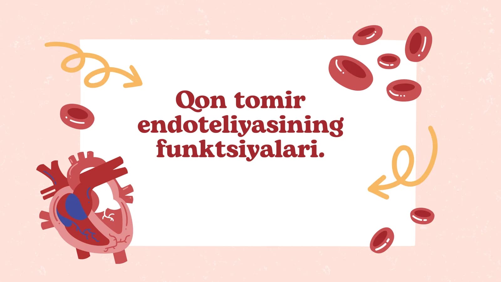 Qon tomir endoteliyasining  funktsiyalari.