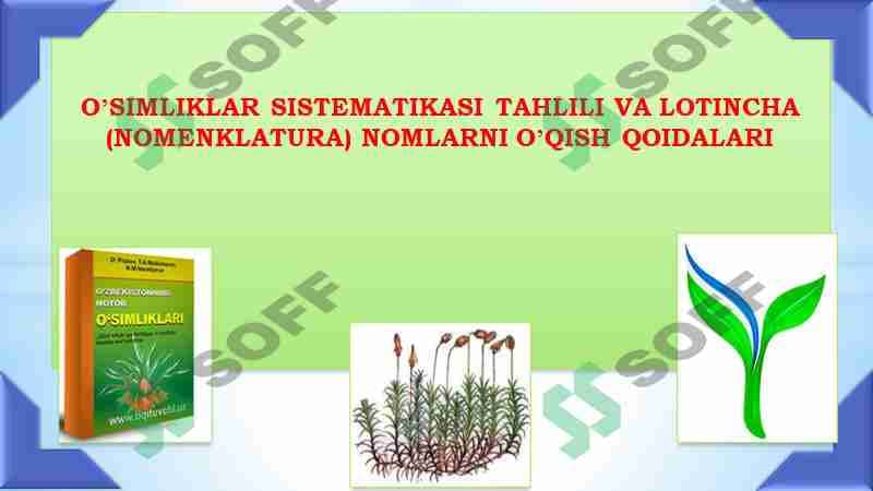 OʼSIMLIKLAR SISTEMATIKASI TAHLILI VA LOTINCHA (NOMENKLATURA) NOMLARNI OʼQISH QOIDALARI