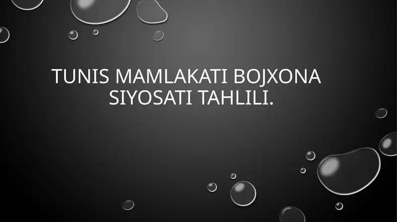 Tunis Mamlakati Bojxonasiyosi Tahlili