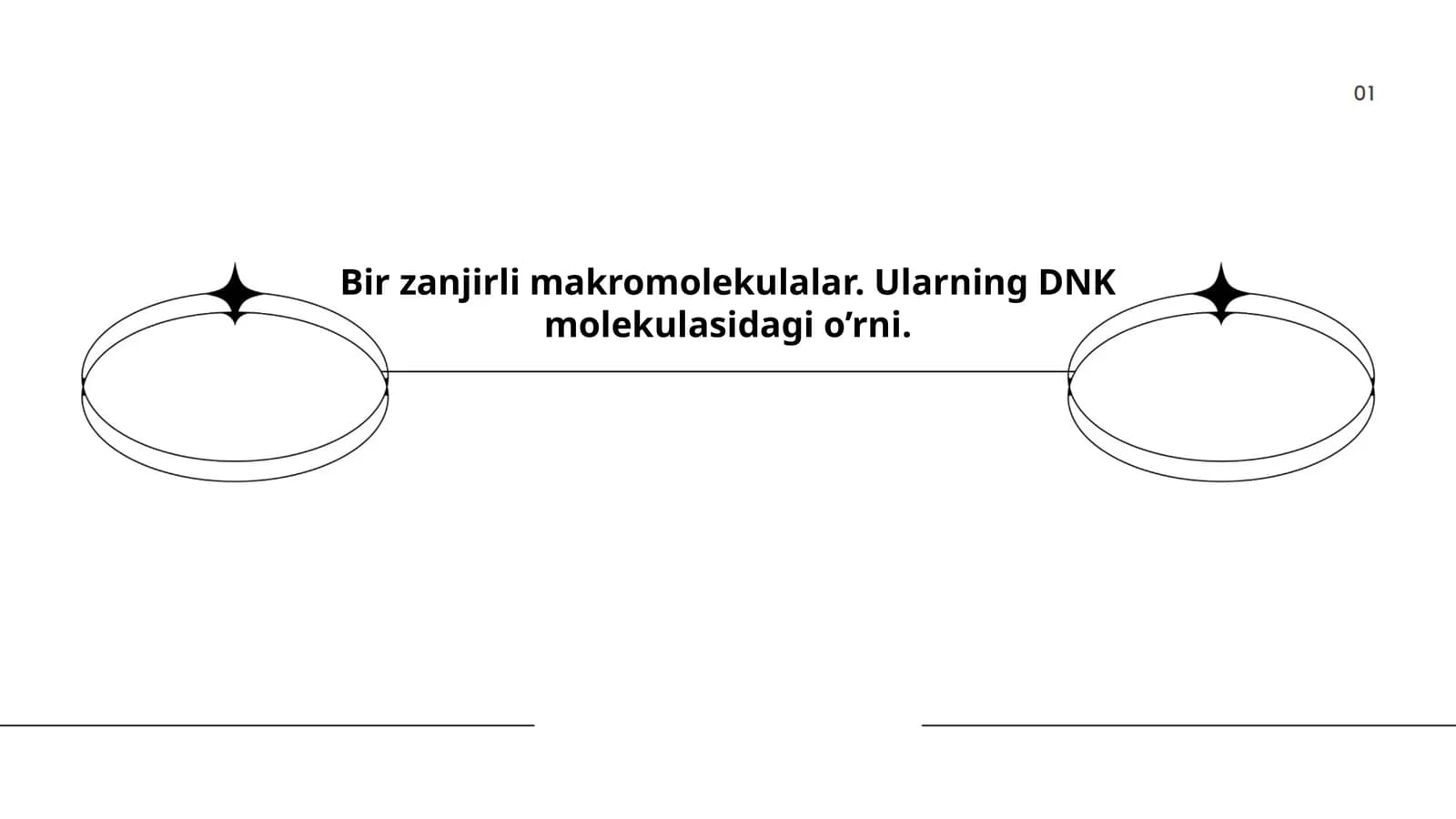 Zanjirli makromolekulalar