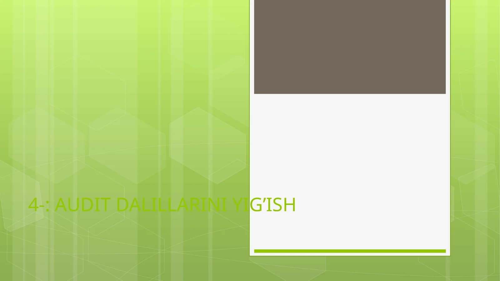 AUDIT DALILLARINI YIG’ISH