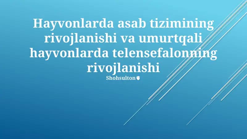 Hayvonlarda asab tizimining rivojlanishi va umurtqali hayvonlarda telensefalonning rivojlanishi