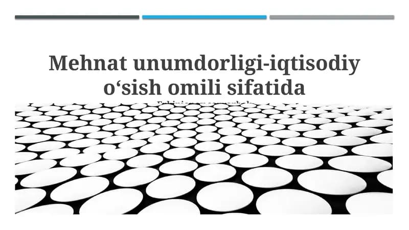 Mehnat unumdorligi-iqtisodiy oʻsish omili sifatida