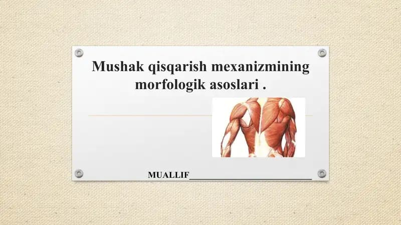 Mushak qisqarish mexanizmi