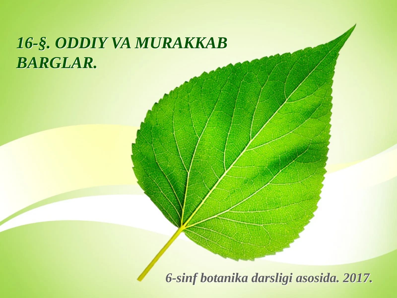 6-sinf Botanika Oddiy va murakkab barglar
