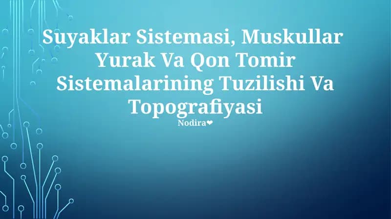 Suyaklar Sistemasi, Muskullar Yurak Va Qon Tomir Sistemalarining Tuzilishi Va Topografiyasi