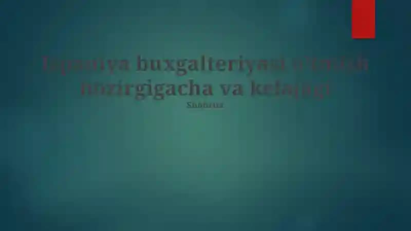 Ispaniya buxgalteriyasi o'tmish hozirgigacha va kelajagi