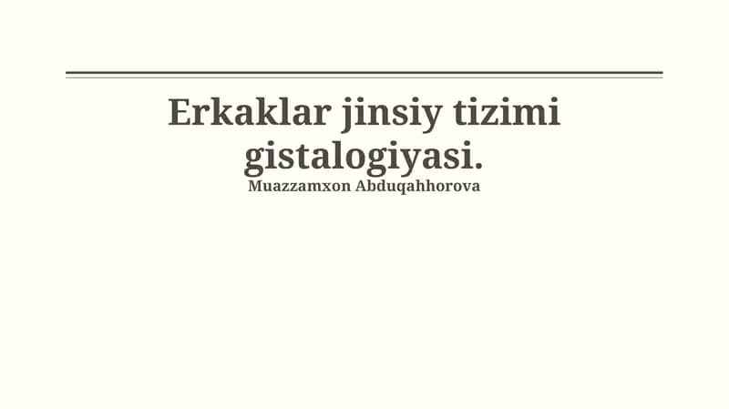 Erkaklar jinsiy tizimi gistalogiyasi