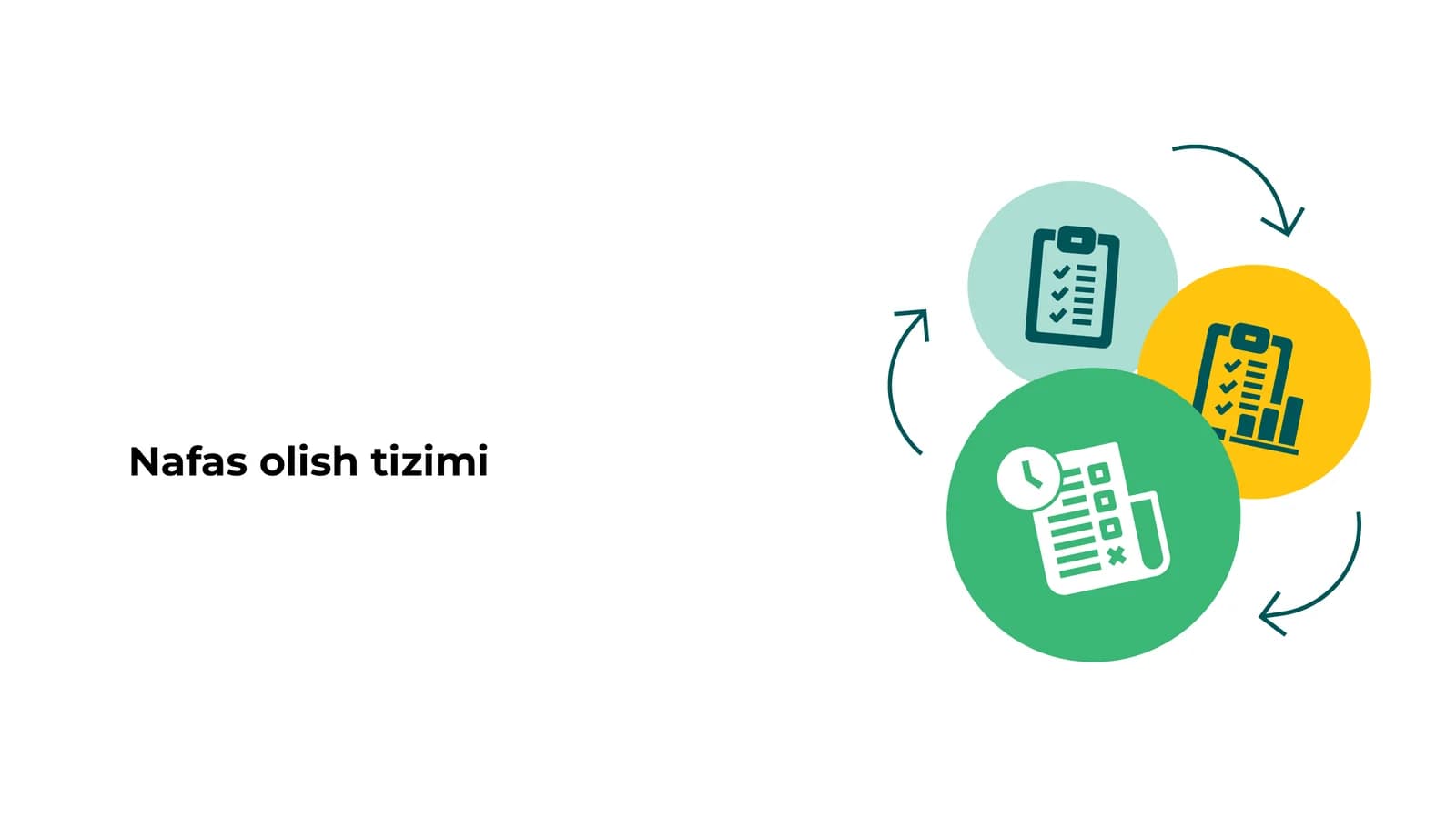 Nafas olish tizimi