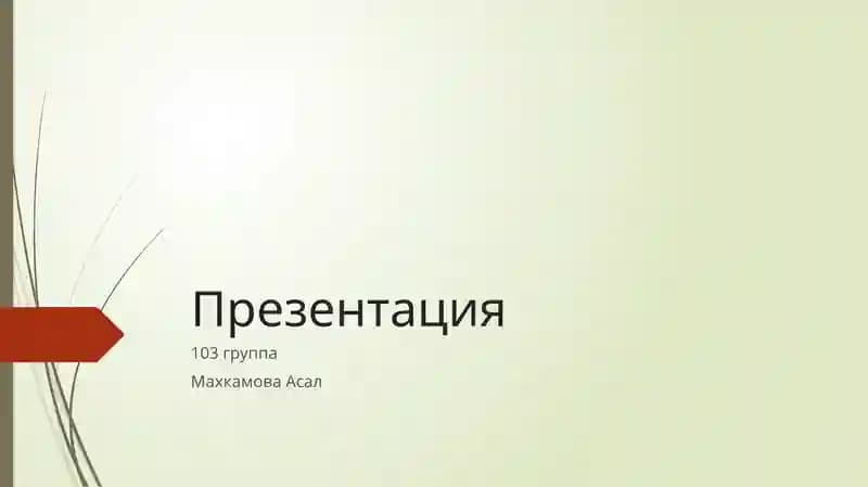 Презентация