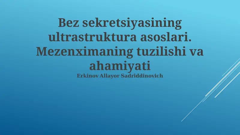 Mezenximaning tuzilishi va ahamiyati
